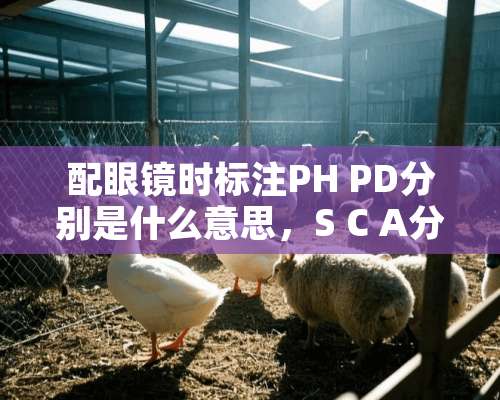 配眼镜时标注PH PD分别是什么意思，S C A分别表示什么？