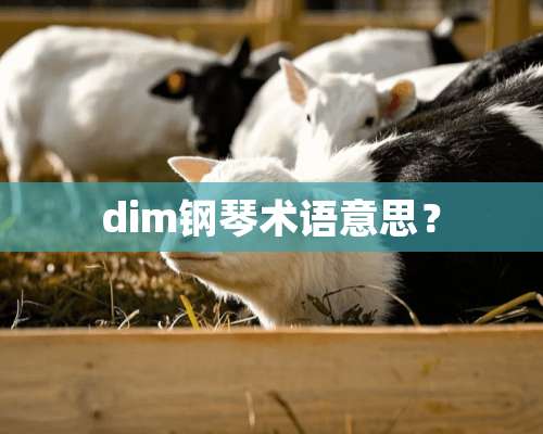 dim钢琴术语意思？