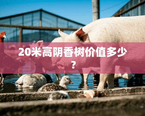 20米高*香树价值多少？