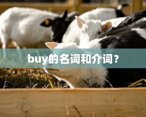 buy的名词和介词？