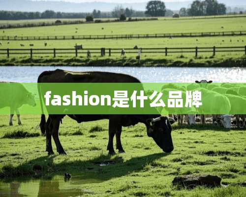 fashion是什么品牌