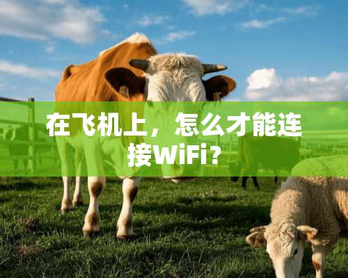 在飞机上，怎么才能连接WiFi？