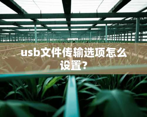 usb文件传输选项怎么设置？