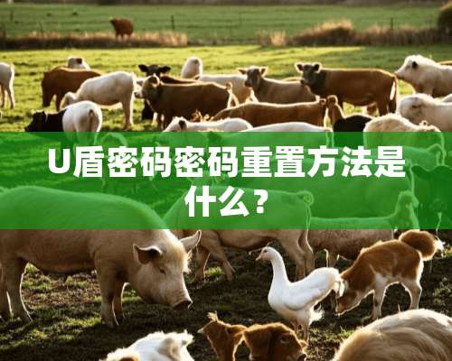 U盾密码密码重置方法是什么？