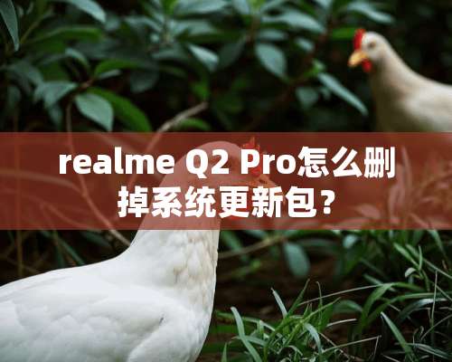 realme Q2 Pro怎么删掉系统更新包？