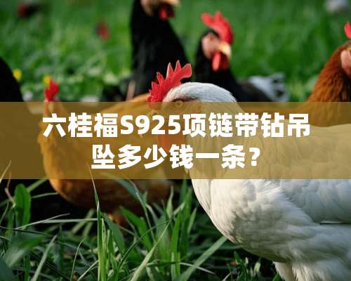 六桂福S925项链带钻吊坠多少钱一条？