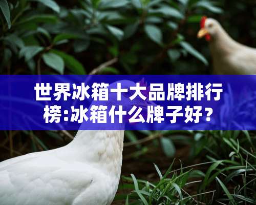 世界冰箱十大品牌排行榜:冰箱什么牌子好？