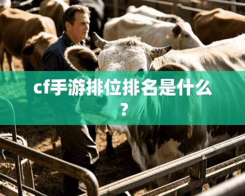 cf手游排位排名是什么？