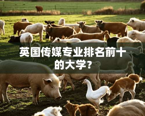 英国传媒专业排名前十的大学？