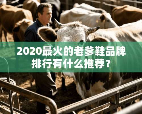 2020最火的老爹鞋品牌排行有什么推荐？