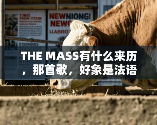 THE MASS有什么来历，那首歌，好象是法语的，是什么意思，为何这么出名？