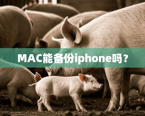 MAC能备份iphone吗？