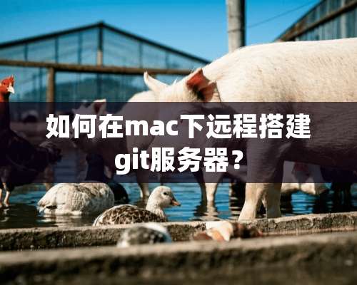 如何在mac下远程搭建git服务器？