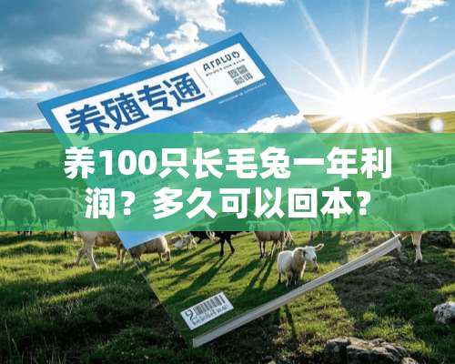 养100只长毛兔一年利润？多久可以回本？