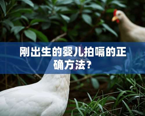 刚出生的婴儿拍嗝的正确方法？