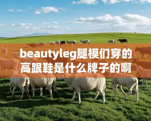 beautyleg腿模们穿的高跟鞋是什么牌子的啊？淘宝上有卖的吗？