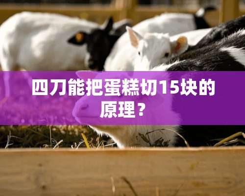 四刀能把蛋糕切15块的原理？