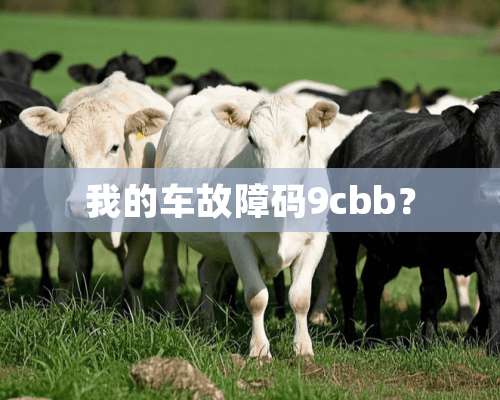 我的车故障码9cbb？