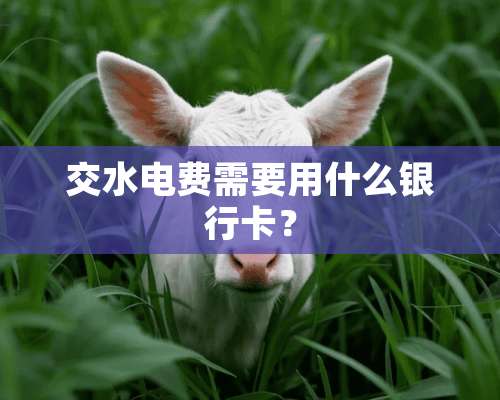 交水电费需要用什么***？