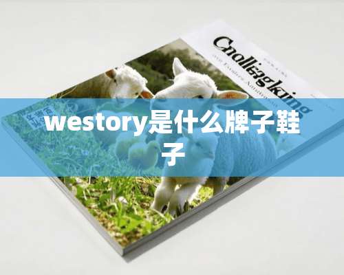 westory是什么牌子鞋子