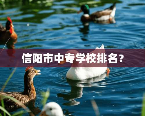 信阳市中专学校排名？