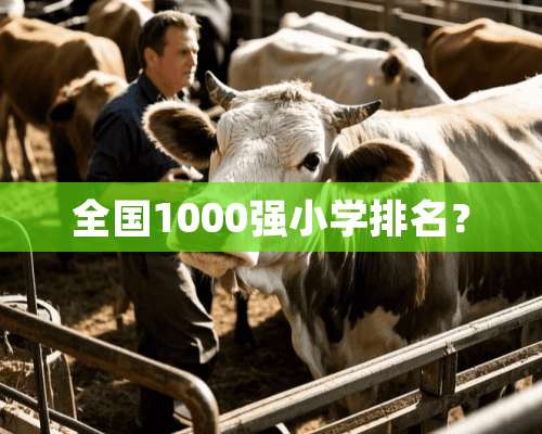 全国1000强小学排名？