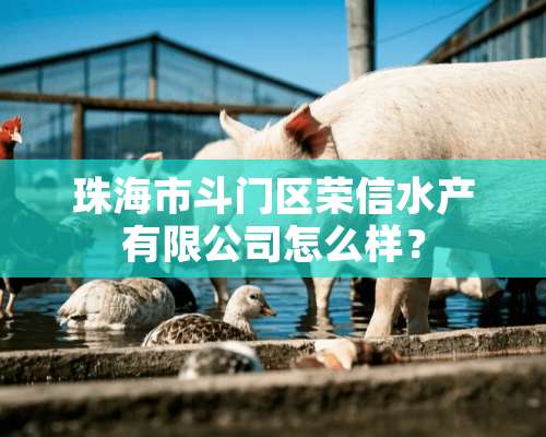 珠海市斗门区荣信水产有限公司怎么样？