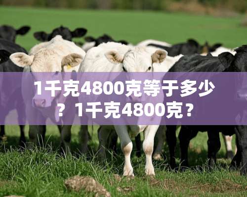 1千克4800克等于多少？1千克4800克？