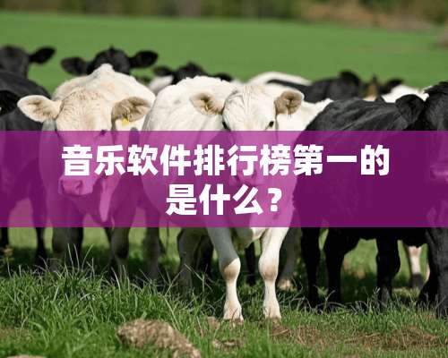 音乐软件排行榜第一的是什么？