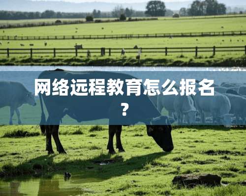 网络远程教育怎么报名？