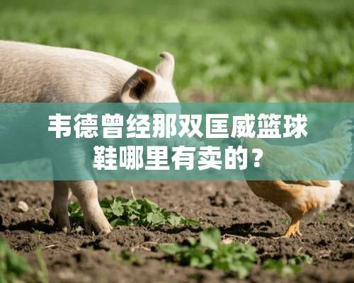 韦德曾经那双匡威篮球鞋哪里有卖的？