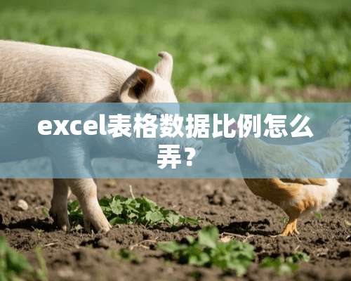 excel表格数据比例怎么弄？