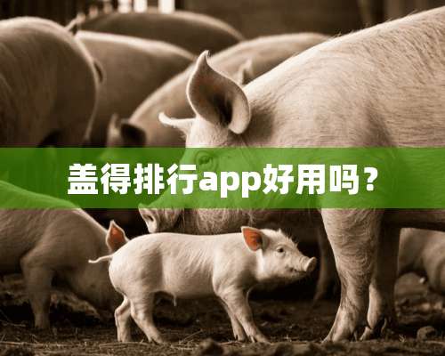 盖得排行app好用吗？