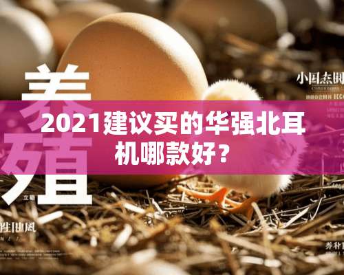 2021建议买的华强北耳机哪款好？