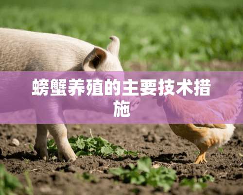 螃蟹养殖的主要技术措施