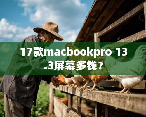 17款macbookpro 13.3屏幕多钱？