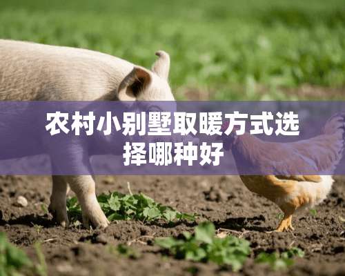 农村小别墅取暖方式选择哪种好