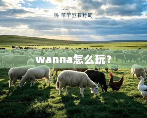 wanna怎么玩？