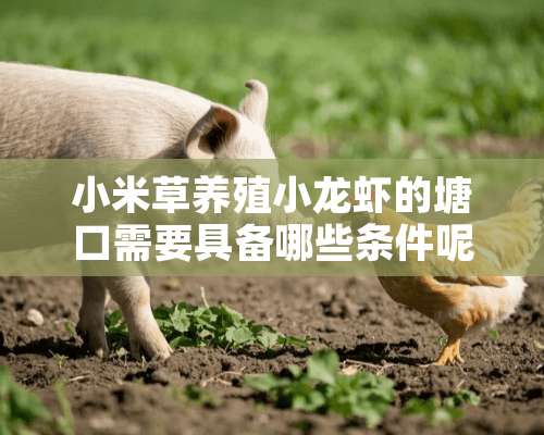 小米草养殖小龙虾的塘口需要具备哪些条件呢？