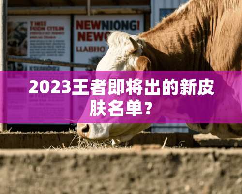 2023王者即将出的新皮肤名单？