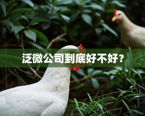 泛微公司到底好不好？