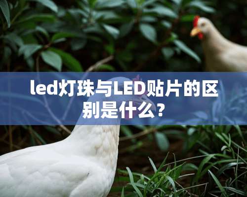 led灯珠与LED贴片的区别是什么？