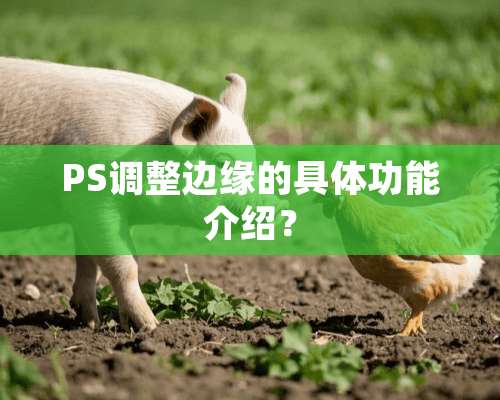 PS调整边缘的具体功能介绍？