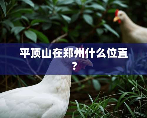 平顶山在郑州什么位置？