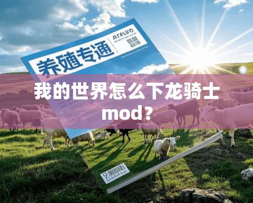 我的世界怎么下龙骑士mod？