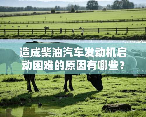 造成柴油汽车发动机启动困难的原因有哪些？