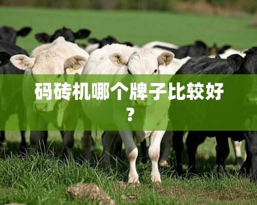 码砖机哪个牌子比较好？