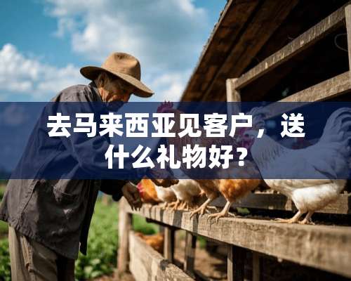 去马来西亚见客户，送什么礼物好？