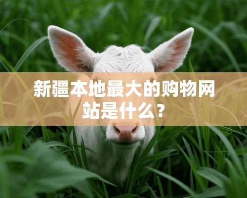 新疆本地最大的购物网站是什么？