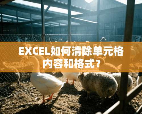 EXCEL如何清除单元格内容和格式？